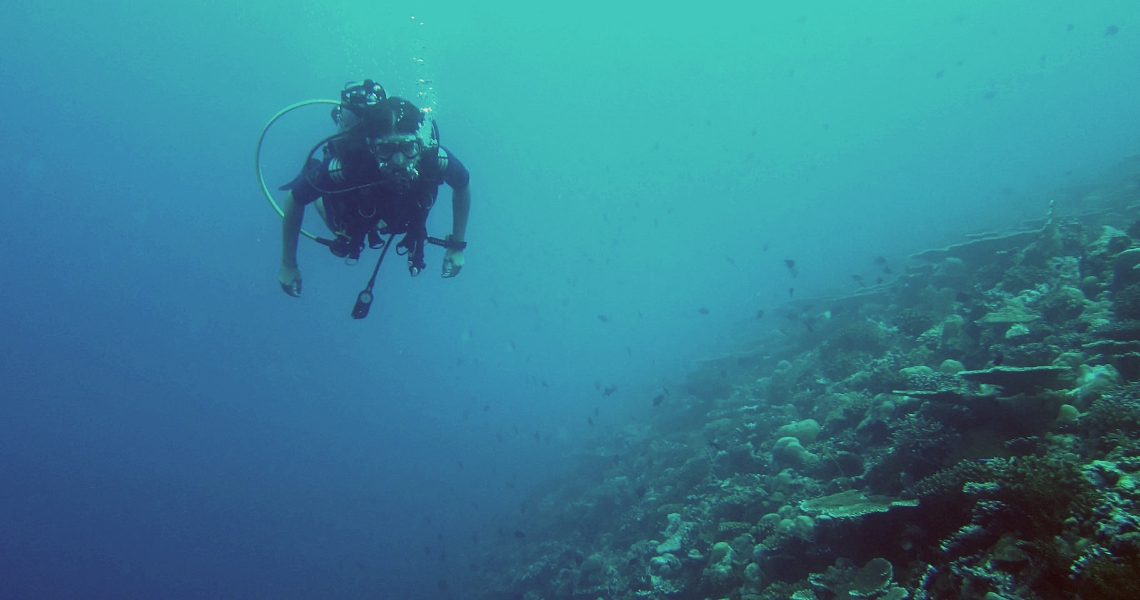 migliori immersioni gozo comino