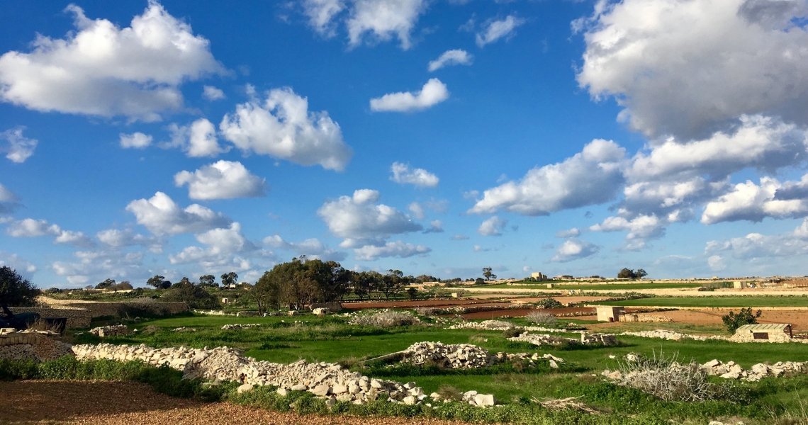 malta escursioni