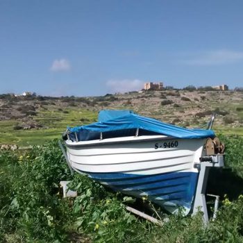 Boat at Selmun Malta