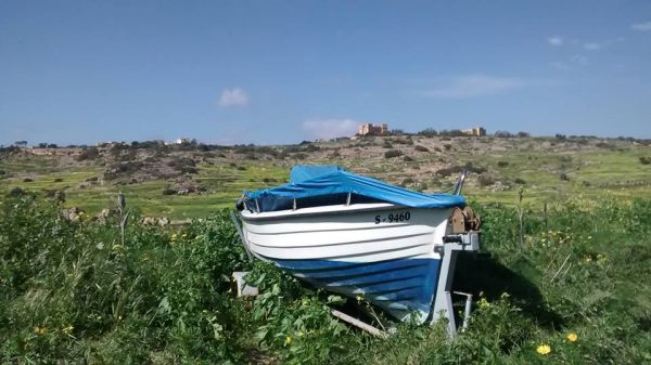 Boat at Selmun Malta