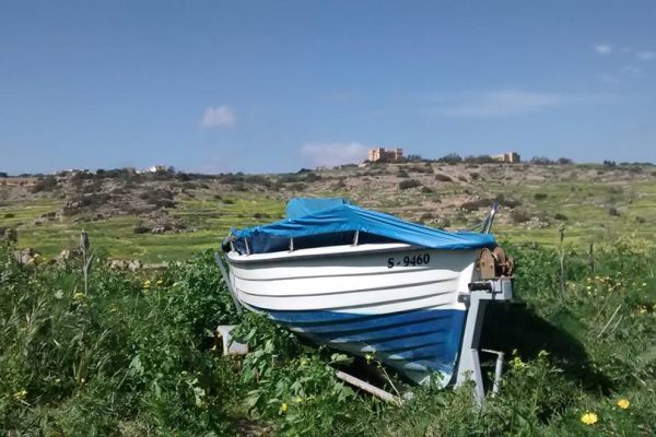 Boat at Selmun Malta