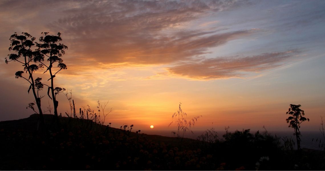 gozo-panorama